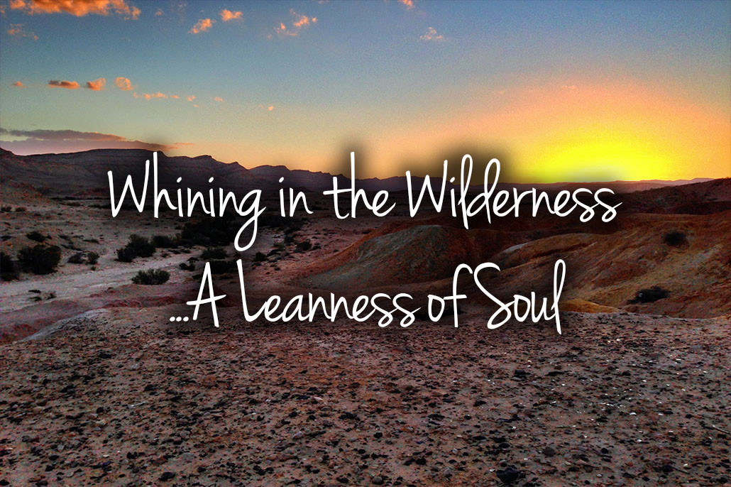Whining In The Wilderness...a Leanness Of Soul - Indestructible Daughters