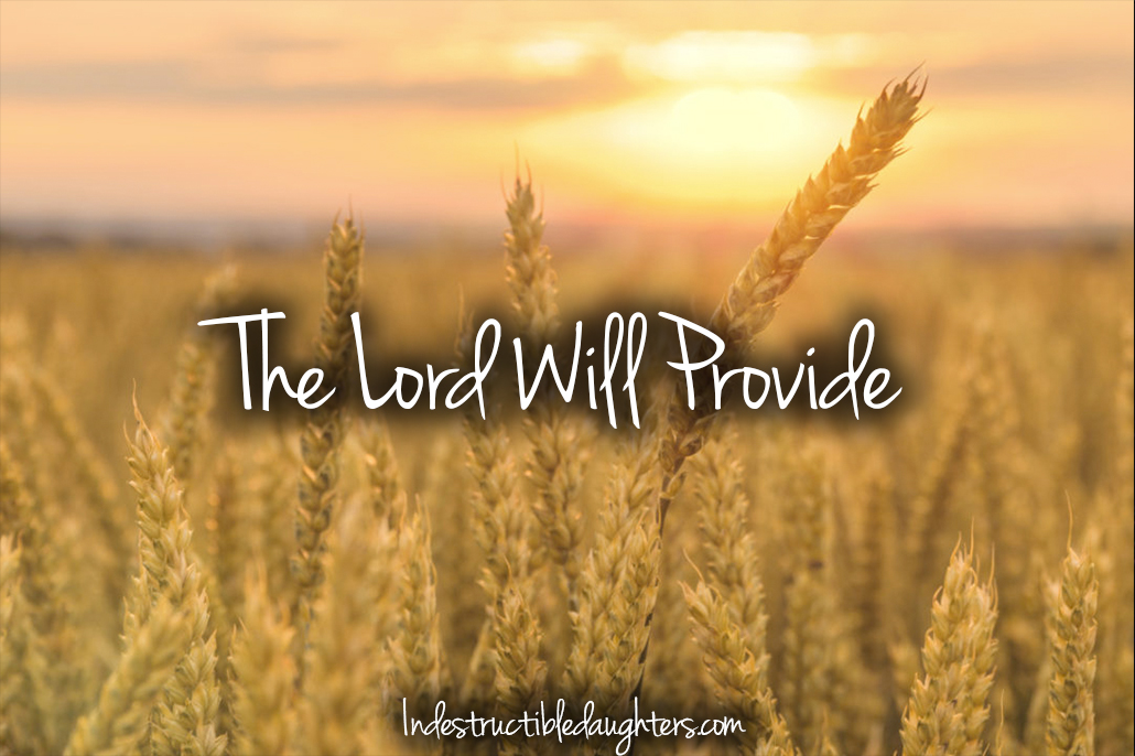The Lord Will Provide - Indestructible Daughters